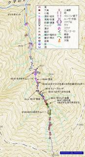 トヨニ岳北峰北面直登沢[image/jpeg:265kB]