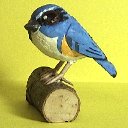 ルリビタキ オス