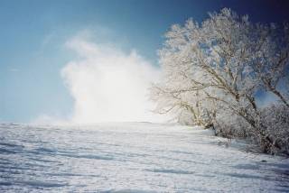 霧氷並木[image/jpeg:107kB]