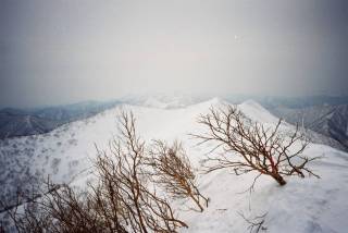 トヨニ岳北峰より南峰[image/jpeg:100kB]