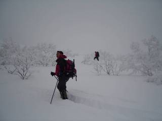 ニトヌプリ西斜面[image/jpeg:41kB]
