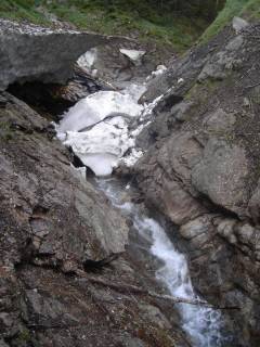 Co770[image/jpeg:158kB]