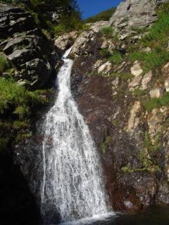 Co930-940[image/jpeg:177kB]