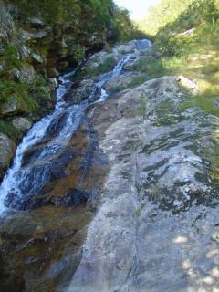 Co1100-1120[image/jpeg:157kB]