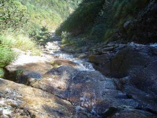 Co1200-1230[image/jpeg:175kB]