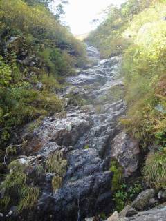 Co1600[image/jpeg:181kB]