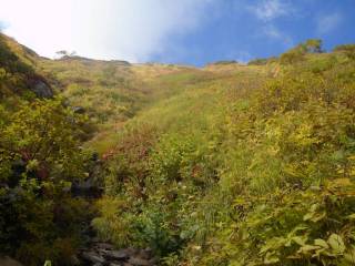 源頭[image/jpeg:142kB]