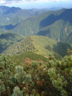 北東尾根[image/jpeg:134kB]