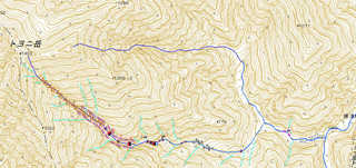 トヨニ岳南峰南東面直登沢遡行図[image/jpeg:569kB]