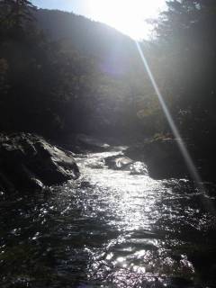 Co810瀞[image/jpeg:108kB]