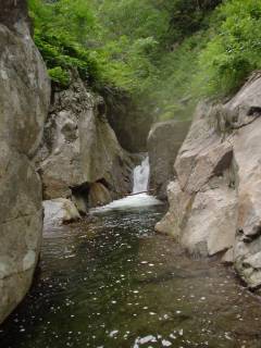 Co625函滝[image/jpeg:133kB]