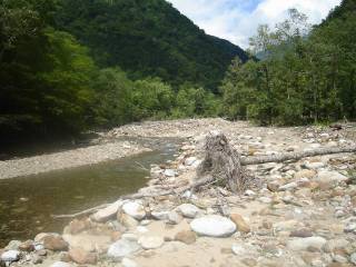 河原[image/jpeg:173kB]