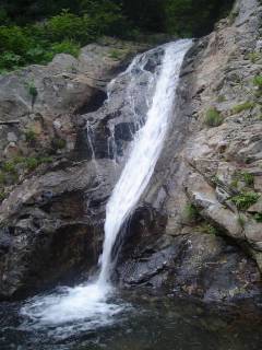 Co690[image/jpeg:161kB]