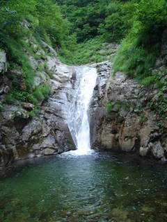 Co770[image/jpeg:174kB]