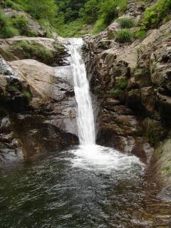 Co765[image/jpeg:212kB]