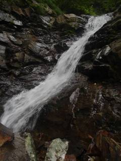 Co700[image/jpeg:129kB]