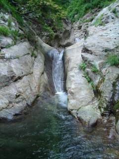 Co755[image/jpeg:184kB]