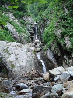 Co800[image/jpeg:227kB]