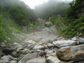 Co890 三股[image/jpeg:134kB]