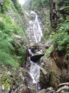 Co1000[image/jpeg:157kB]