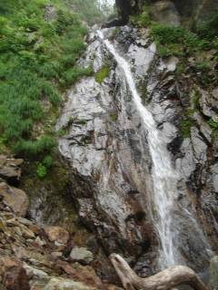 Co1030[image/jpeg:149kB]