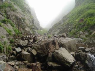 Co1200ガレ[image/jpeg:141kB]