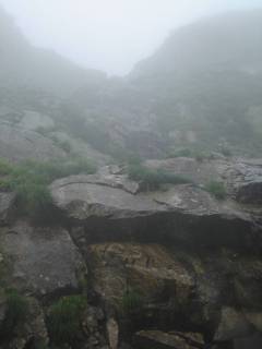 Co1290[image/jpeg:60kB]