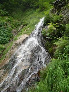 Co880[image/jpeg:215kB]