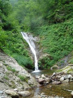 Co810-820[image/jpeg:249kB]