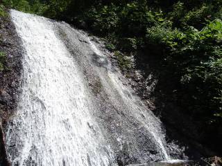 Co1080[image/jpeg:245kB]