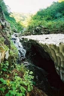 Co830[image/jpeg:135kB]