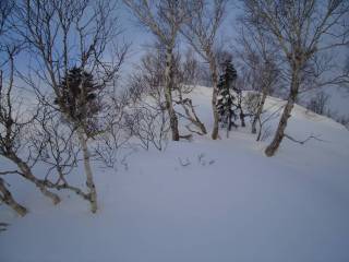 トムラウシ山[image/jpeg:119kB]