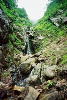 Co1100[image/jpeg:202kB]