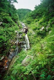 下降沢[image/jpeg:200kB]