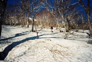雪渓を進む[image/jpeg:173kB]