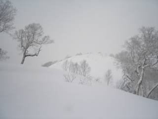 オコタンペ山[image/jpeg:141kB]