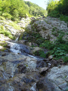 下降沢 Co940-960[image/jpeg:151kB]