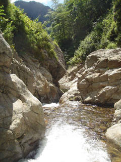 Co610[image/jpeg:151kB]