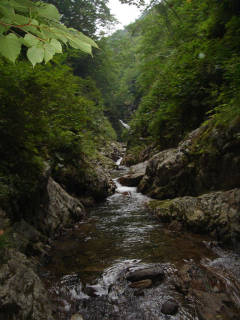 Co610-620 廊下[image/jpeg:148kB]