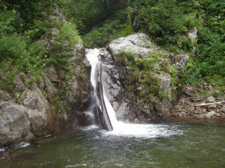 Co660[image/jpeg:150kB]