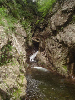 Co680 砂防ダム[image/jpeg:149kB]