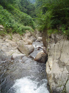 Co720[image/jpeg:150kB]