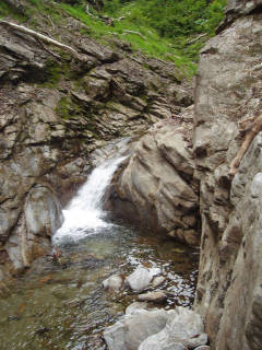 Co750[image/jpeg:147kB]