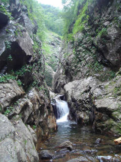 Co770-780 廊下[image/jpeg:150kB]