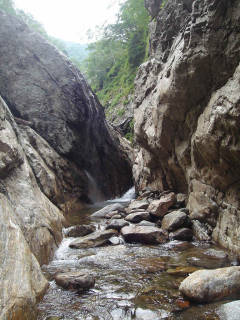 Co820[image/jpeg:149kB]