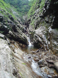 Co840 ゴルジュ[image/jpeg:151kB]