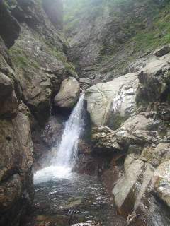 Co870[image/jpeg:149kB]