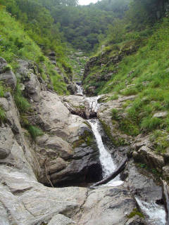 F2 二段[image/jpeg:149kB]