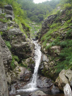 F3 樋滝[image/jpeg:149kB]