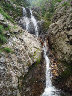 Co970 F7[image/jpeg:150kB]